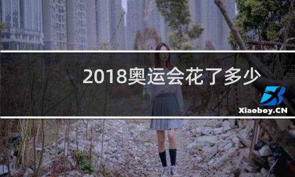 2018奥运会花了多少钱图片