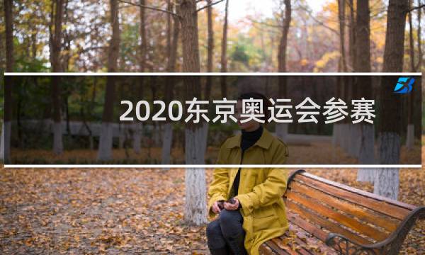 2020东京奥运会参赛国家有多少个图片