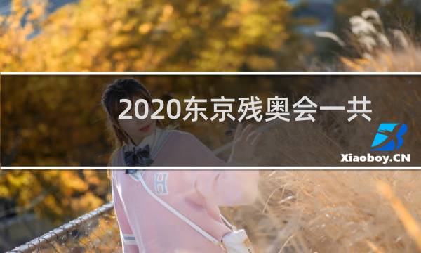 2020东京残奥会一共多少金牌图片