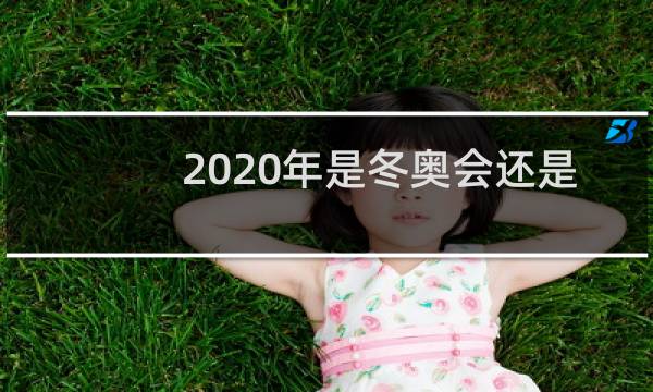 2020年是冬奥会还是夏奥会图片