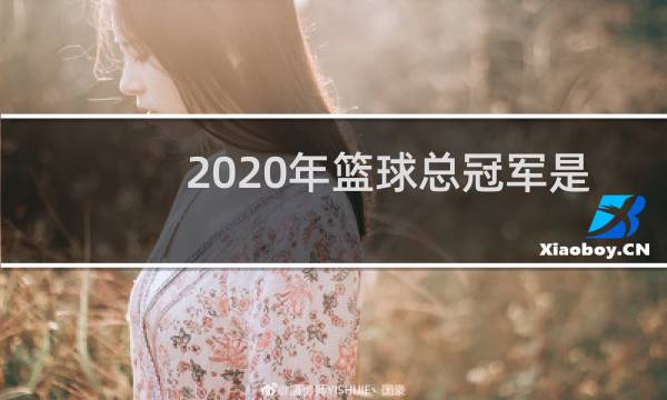 2020年篮球总冠军是哪个队图片