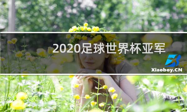 2020足球世界杯亚军是谁图片