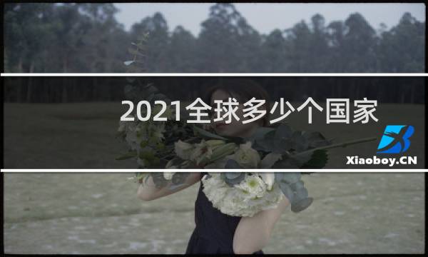 2021全球多少个国家图片