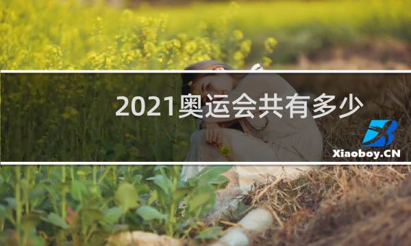 2021奥运会共有多少国家参加图片