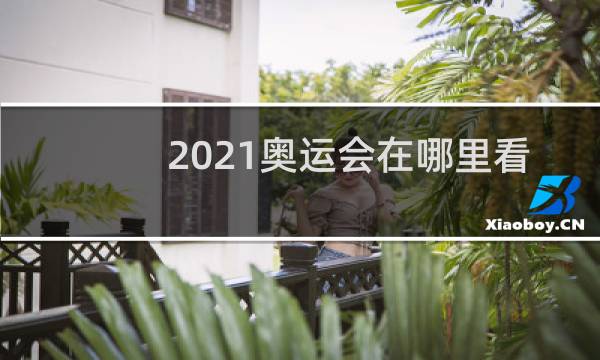 2021奥运会在哪里看电视图片