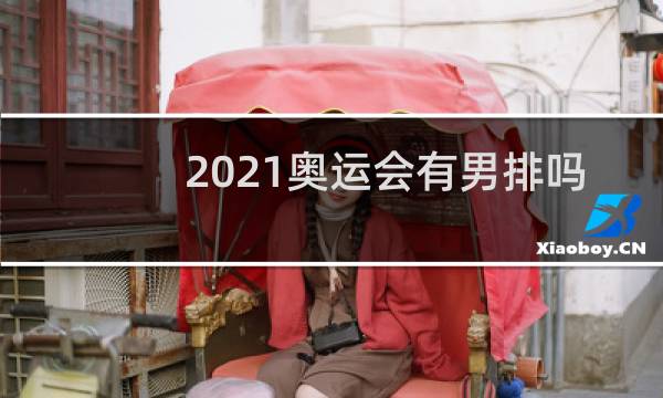 2021奥运会有男排吗图片