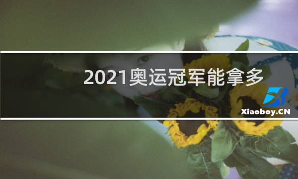 2021奥运冠军能拿多少奖金图片