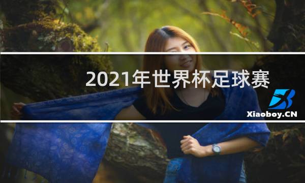 2021年世界杯足球赛什么时候结束图片