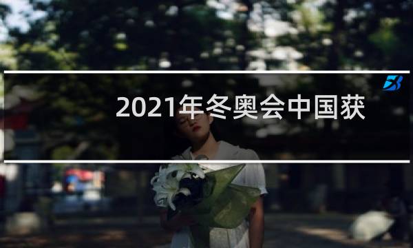2021年冬奥会中国获得几枚金牌图片