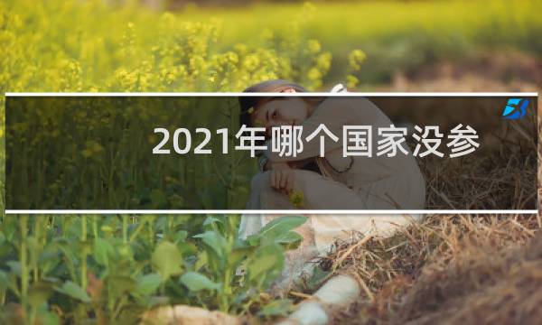 2021年哪个国家没参加奥运会图片