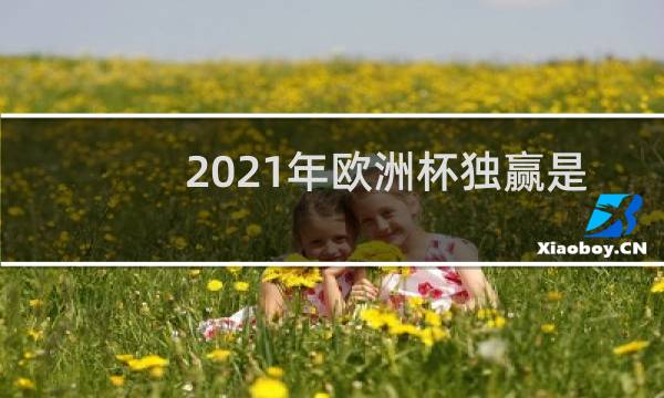 2021年欧洲杯独赢是什么图片