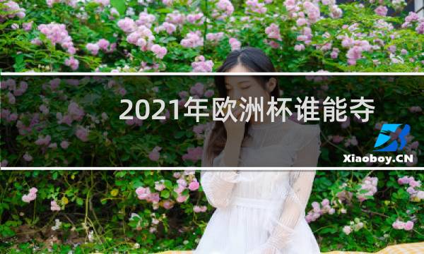 2021年欧洲杯谁能夺冠图片