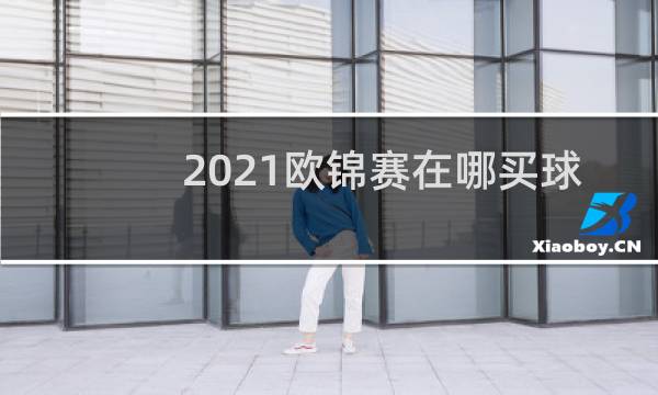 2021欧锦赛在哪买球图片