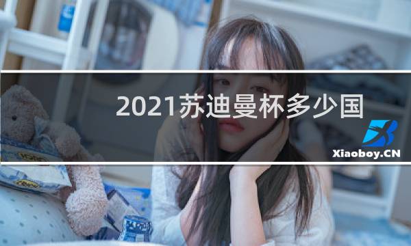 2021苏迪曼杯多少国家参加图片