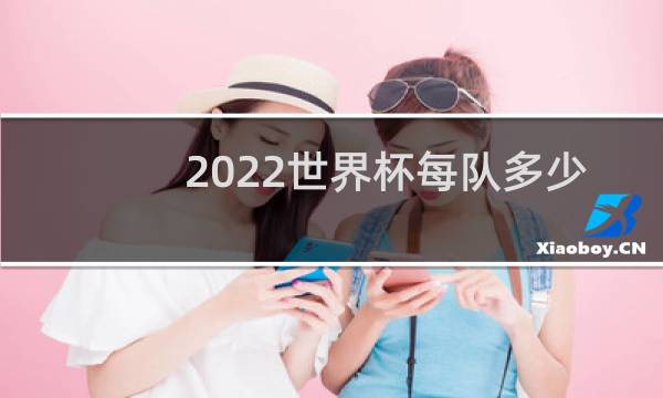 2022世界杯每队多少人图片