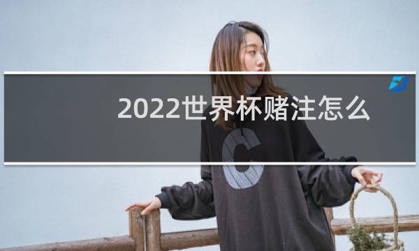 2022世界杯赌注怎么买图片