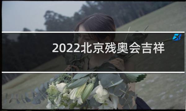 2022北京残奥会吉祥物是什么图片