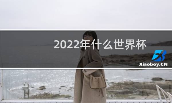 2022年什么世界杯图片