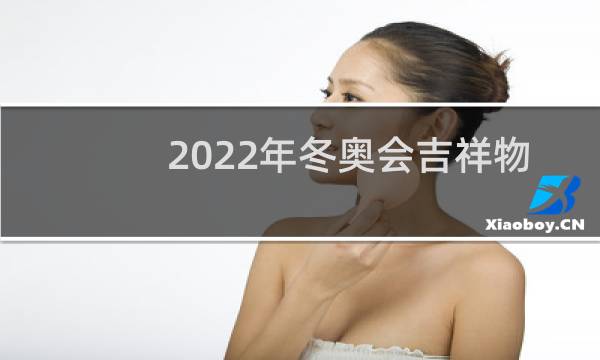 2022年冬奥会吉祥物分别是什么图片