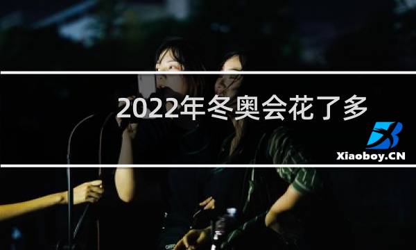 2022年冬奥会花了多少钱图片