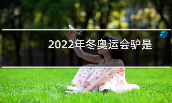2022年冬奥运会驴是吉祥物么图片