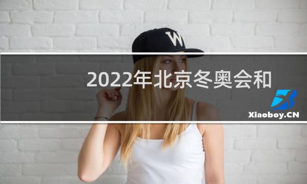 2022年北京冬奥会和残奥会的吉祥物是什么图片