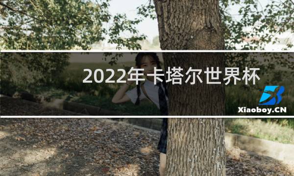 2022年卡塔尔世界杯梅西c罗参加吗图片