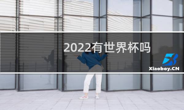2022有世界杯吗图片
