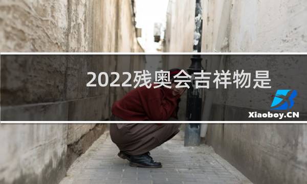 2022残奥会吉祥物是什么图片