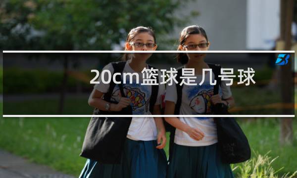 20cm篮球是几号球图片