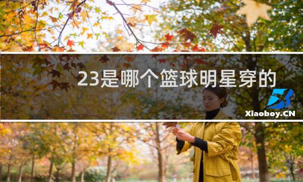 23是哪个篮球明星穿的号码图片