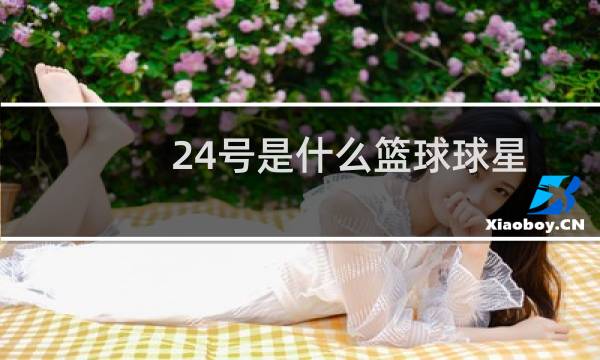 24号是什么篮球球星图片