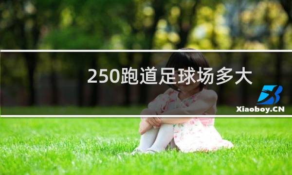 250跑道足球场多大图片