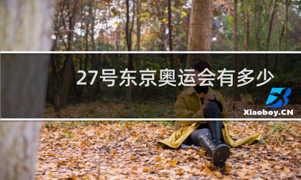 27号东京奥运会有多少枚金牌图片