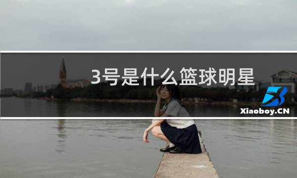 3号是什么篮球明星图片