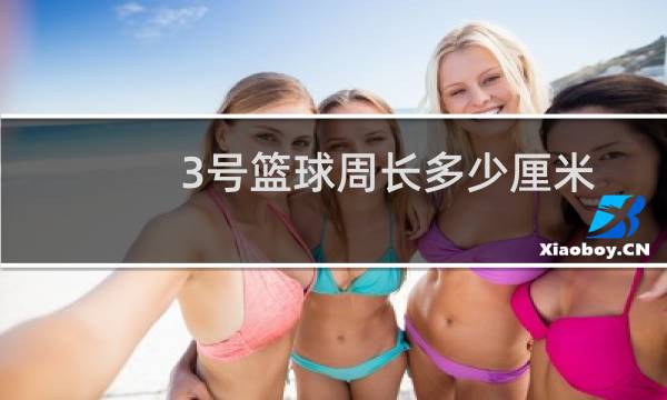 3号篮球周长多少厘米图片