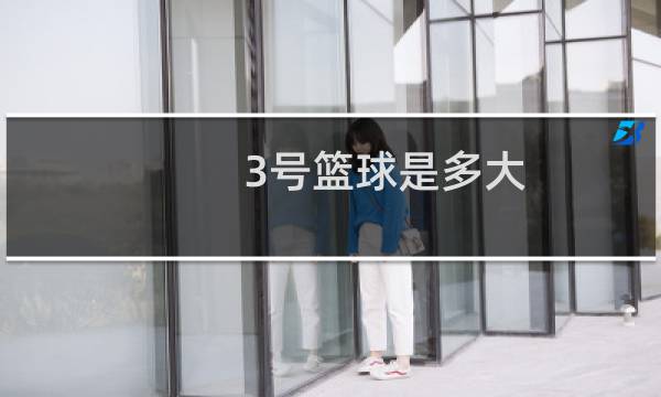 3号篮球是多大图片