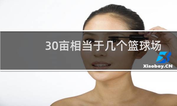 30亩相当于几个篮球场图片