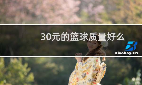 30元的篮球质量好么图片