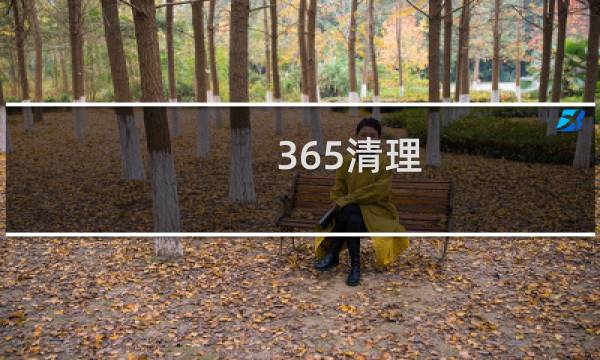 365清理 - 365清理卫士下载