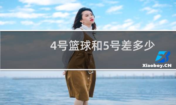4号篮球和5号差多少图片