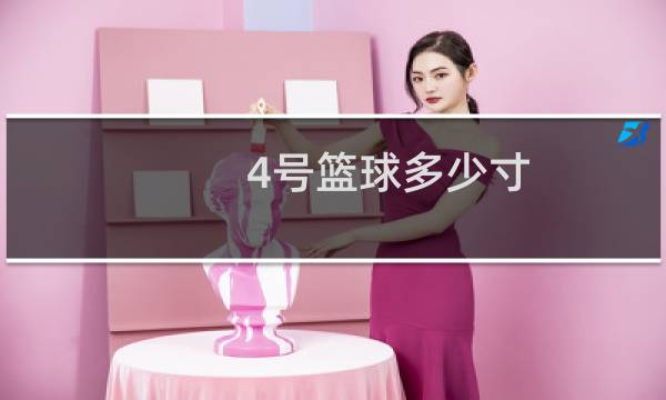 4号篮球多少寸图片