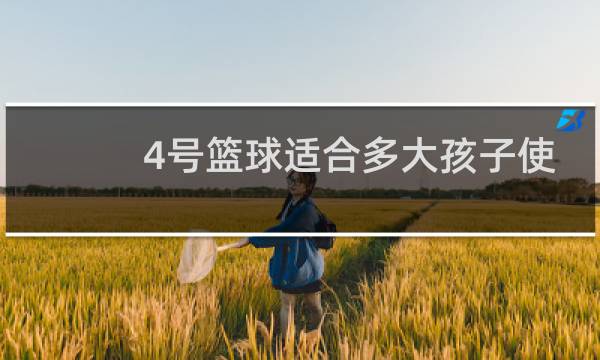 4号篮球适合多大孩子使用图片