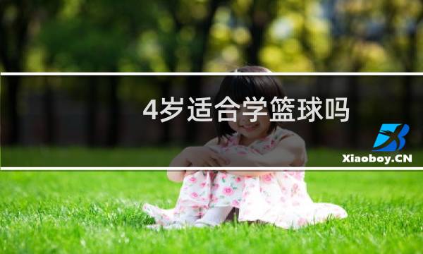 4岁适合学篮球吗图片