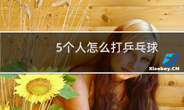 5个人怎么打乒乓球图片