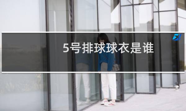 5号排球球衣是谁图片