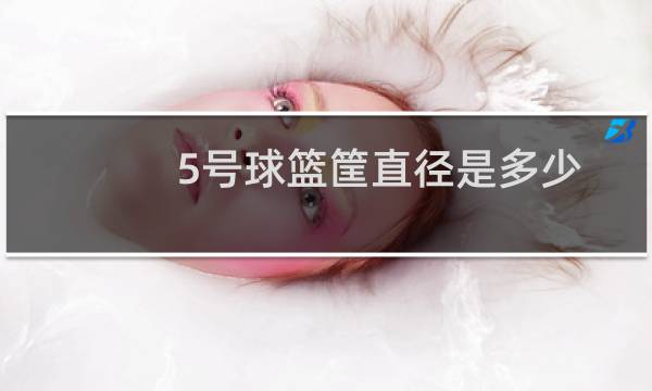 5号球篮筐直径是多少图片