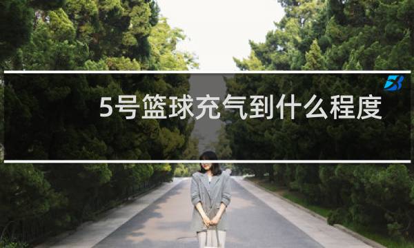 5号篮球充气到什么程度图片