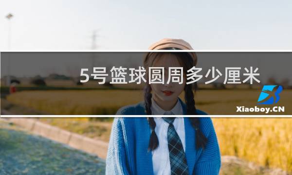 5号篮球圆周多少厘米图片