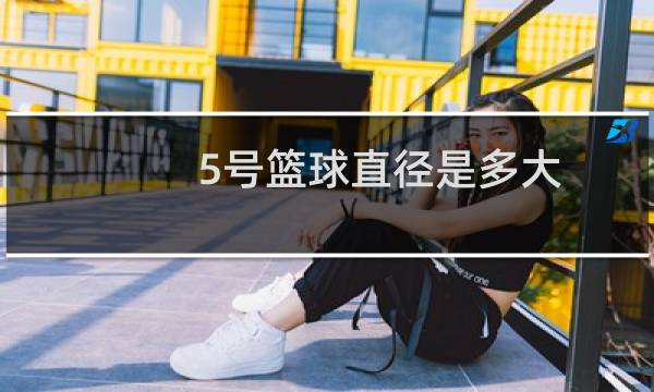 5号篮球直径是多大图片